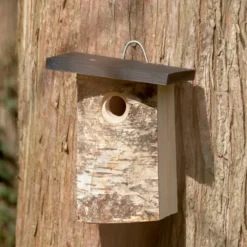Bergen 32mm Nest Box -Deals Birdvora Store 93598 4