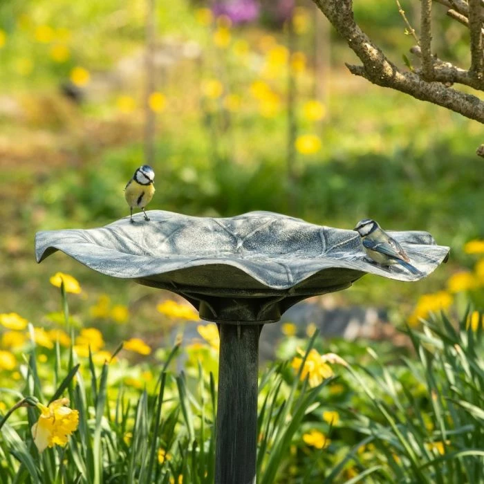 Silbersee Pedestal Bird Bath 2 Silbersee Pedestal Bird Bath - Image 2