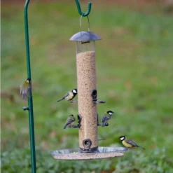 Large Feeder Tray -Deals Birdvora Store 94061 3 1