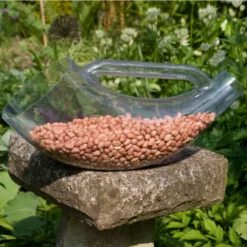 Food Scoop -Deals Birdvora Store 94101 3