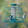 2 Port Bird Seed Feeder With Guardian