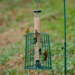 6 Port Bird Seed Feeder With Guardian