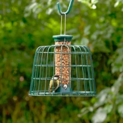 Small Peanut Bird Feeder With Guardian