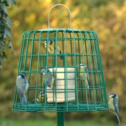 Fat Ball & Peanut Cake Guardian Bird Feeder -Deals Birdvora Store 94550