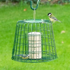 Fat Ball & Peanut Cake Guardian Bird Feeder -Deals Birdvora Store 945500121