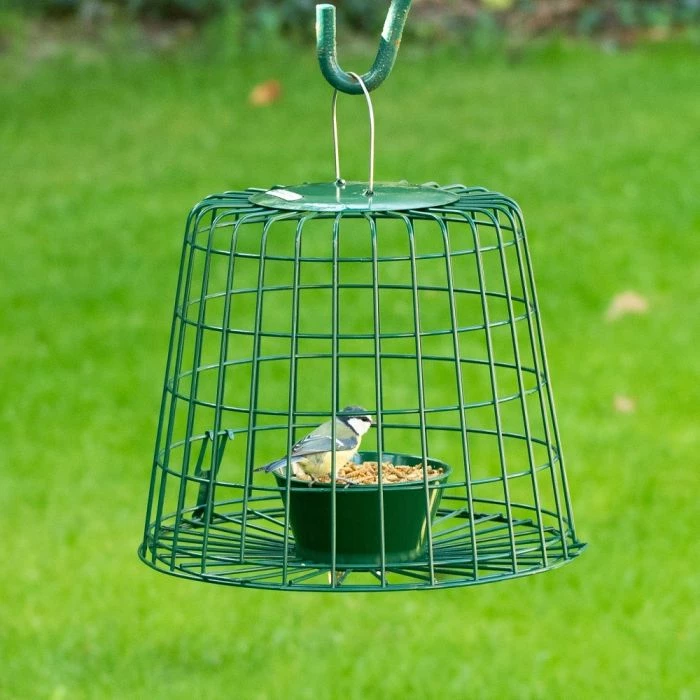 Suet Pellet & Mealworm Guardian Bird Feeder
