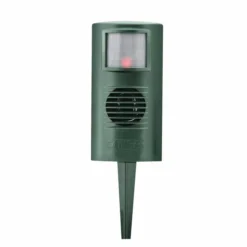 CatWatch & Accessories -Deals Birdvora Store 95700 1 1