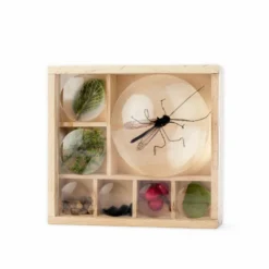 Huckleberry Insect Box 5 Huckleberry Insect Box -Deals Birdvora Store 973290119 1