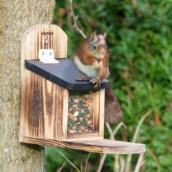 Victoria Squirrel Feeder -Deals Birdvora Store 98367
