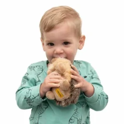 Wilberry Hedgehog Soft Toy