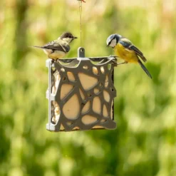 National Trust Anna Recycled Peanut Cake Bird Feeder