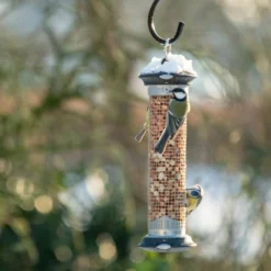 National Trust Apollo Peanut Feeder -Deals Birdvora Store apollo peanut feeder
