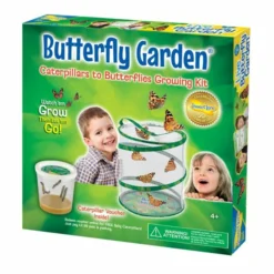 Live Butterfly Garden -Deals Birdvora Store bg
