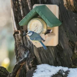 National Trust Dublin Peanut Butter Feeder -Deals Birdvora Store dublin
