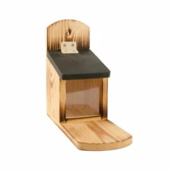 Victoria Squirrel Feeder -Deals Birdvora Store eichhoernchen futterautomat victoria 30311 2.jpg
