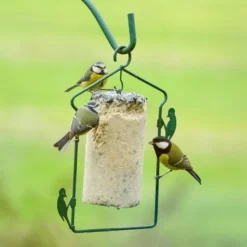 National Trust Seed Peanut Cake (1 Litre) -Deals Birdvora Store energiekuchen mit saatkoernern 10040 4