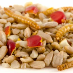 Hi-Energy Supreme Bird Seed Mix -Deals Birdvora Store energiereiche samen deluxe 11205 1 1