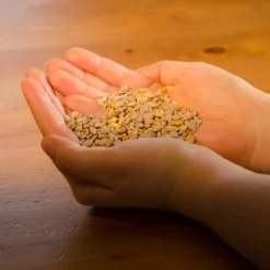 Deals Birdvora Store -Deals Birdvora Store energiereiche samen plus 11040 4