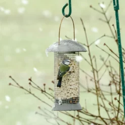 Adventurer Peanut Feeder -Deals Birdvora Store erdnusssaule maximum 24cm 33025 1