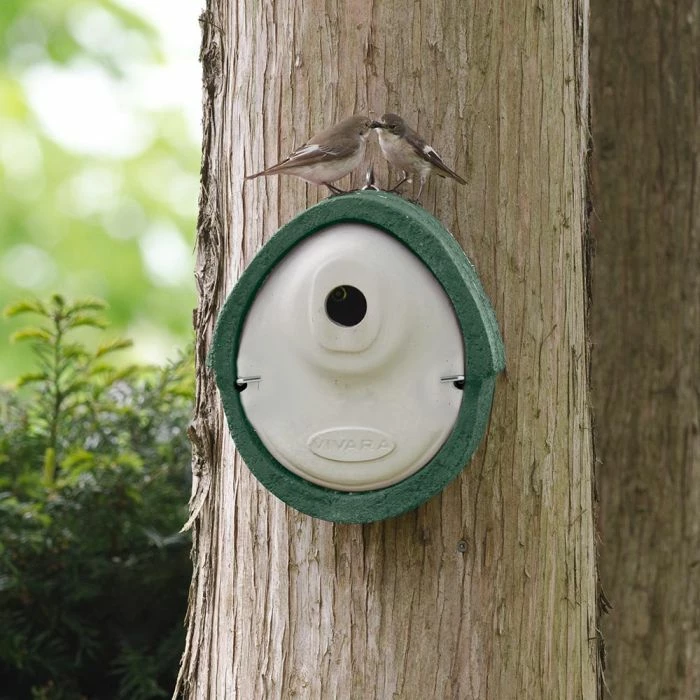 WoodStone® Alicante 32mm Nest Box (Green) 1 WoodStone® Alicante 32mm Nest Box (Green)
