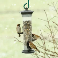 Apollo 3 Port Seed Feeder -Deals Birdvora Store futtersaeule apollo 3 oeffnungen 31095 10
