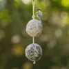 Giant Fat Balls On A Rope - Duo