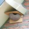House Martin Nest (Right Single)