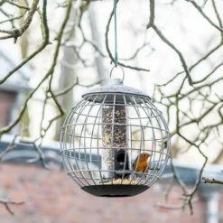 National Trust Athena Bird Seed Guardian Feeder -Deals Birdvora Store nt35111 jvg 0863