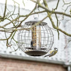 National Trust Athena Bird Seed Guardian Feeder -Deals Birdvora Store nt35111 jvg 0958