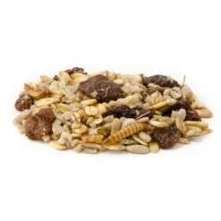 Best Robin Blend Bird Seed Mix -Deals Birdvora Store rotkehlchen delikatessen 12057 1