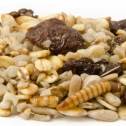 Best Robin Blend Bird Seed Mix -Deals Birdvora Store rotkehlchen delikatessen 12058 1