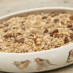 Best Robin Blend Bird Seed Mix -Deals Birdvora Store rsz 1robin food dish 12058 ah 0927