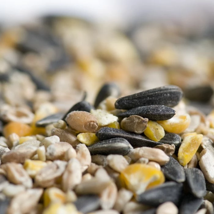 Hi-Energy Seed Mix For Birds 1 Hi-Energy Seed Mix For Birds