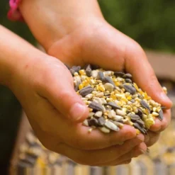 National Trust Garden Bird Table Seed -Deals Birdvora Store rsz 5 jv05729 a