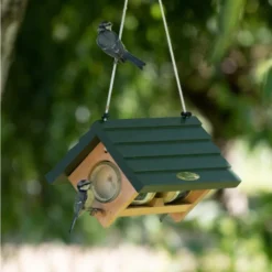 Lifford Hanging Double Peanut Butter Feeder -Deals Birdvora Store rsz 932010115 lifford hanging double peanut butter fee qm 3624