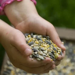 Hi-Energy Seed Mix For Birds 7 Hi-Energy Seed Mix For Birds -Deals Birdvora Store rsz jan vermeer jv05729