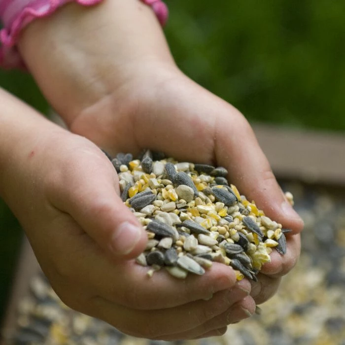 Hi-Energy Seed Mix For Birds 3 Hi-Energy Seed Mix For Birds - Image 3