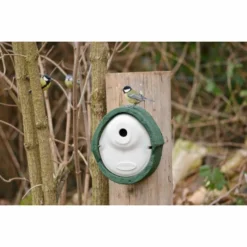 WoodStone® Alicante 28mm Nest Box (Green) -Deals Birdvora Store woodstone alicante 28mm green 90683 2 haakjes bewerkt